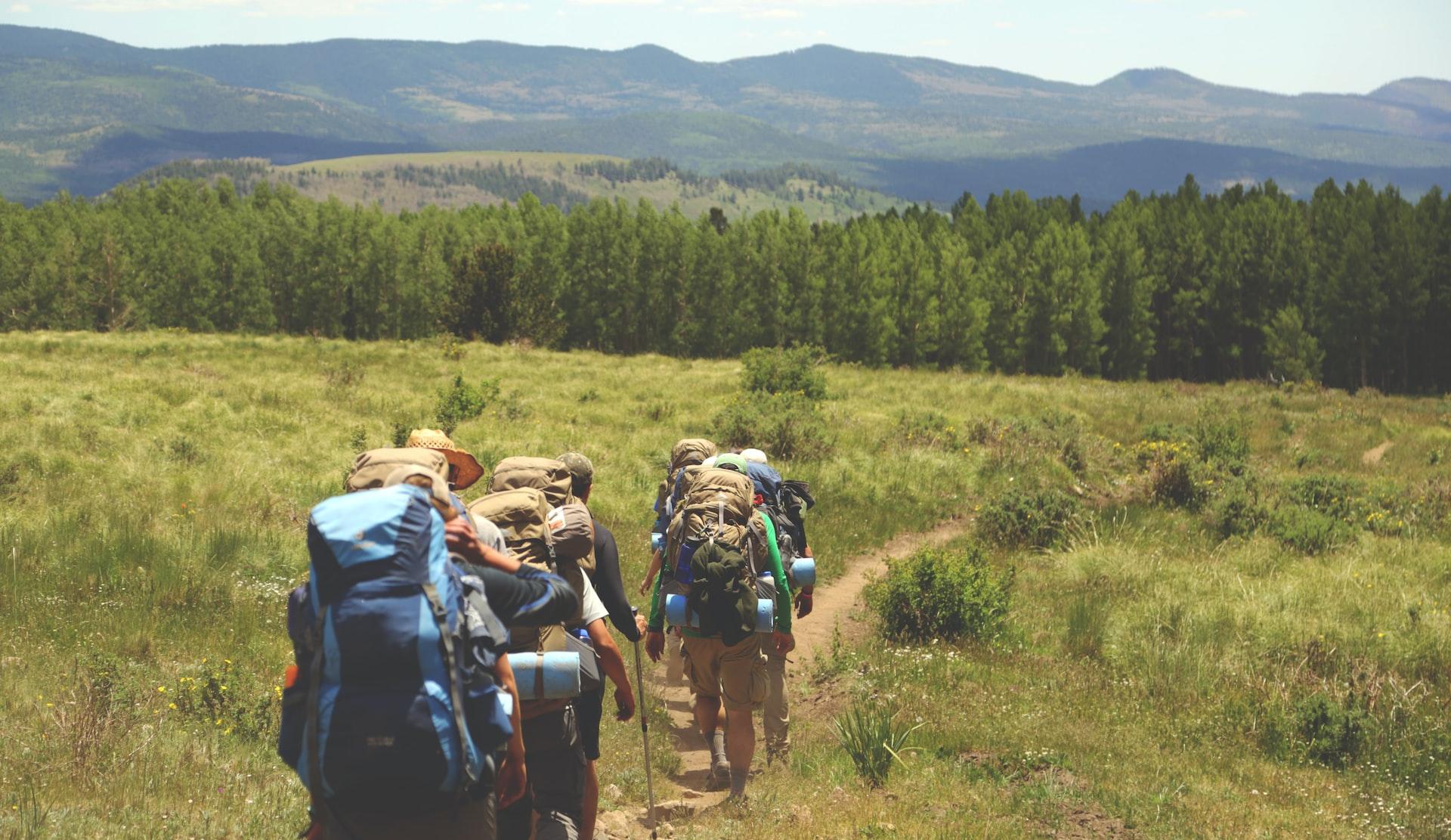 group of people walking on pathway between green grass background of tree